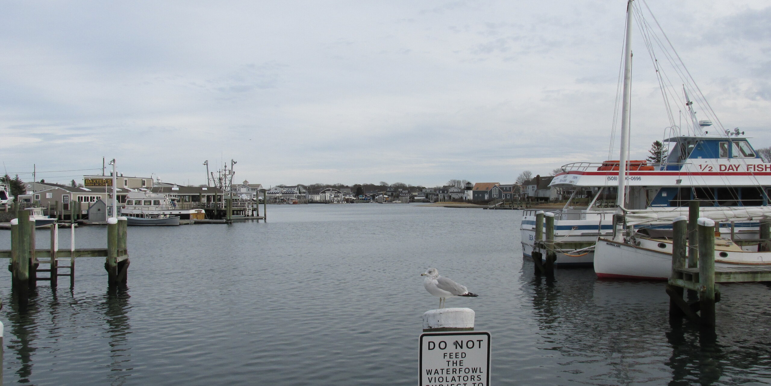 Barnstable Town, MA — skyline, Whipshipper Auto Transport coverage