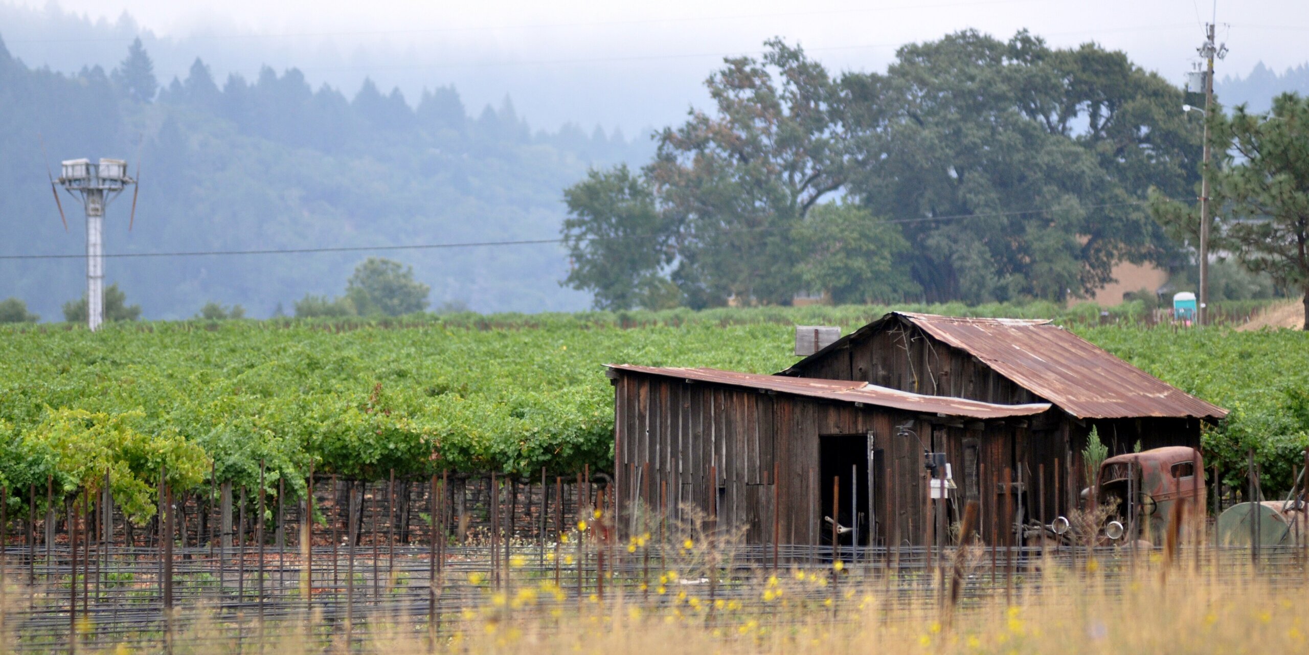 Napa, CA — skyline, Whipshipper Auto Transport coverage